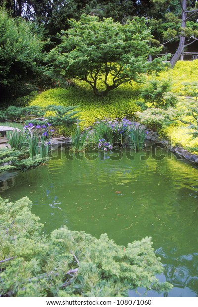 Huntington Library Gardens Japanese Gardens Pasadena Stockfoto