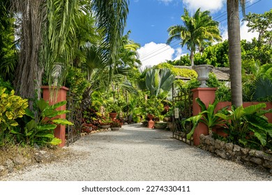 Jardín de caza, vegetación tropical en Barbados