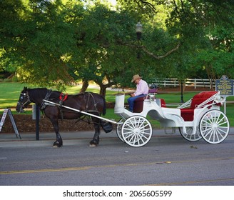 369 Horse pulling buggy Images, Stock Photos & Vectors | Shutterstock