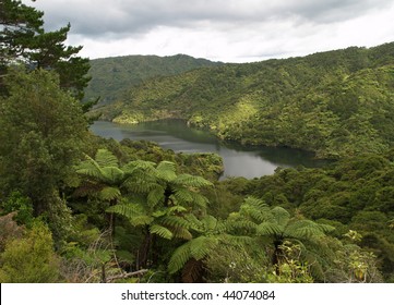 Hunua Ranges Park, New Zealand