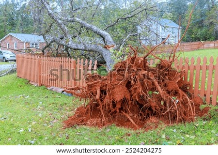 Hurricane caused trees to fall on fences around house
