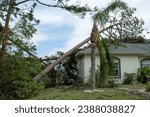 Hurricane damage to a house roof in Florida. Fallen down big tree after tropical storm winds. Consequences of natural disaster