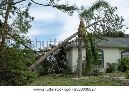 Hurricane damage to a house roof in Florida. Fallen down big tree after tropical storm winds. Consequences of natural disaster