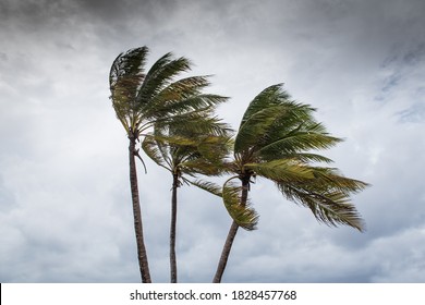 Hurricane Delta tearing up the coastline of Grand Cayman 