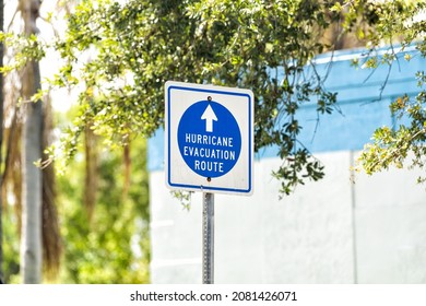 Hurricane Evacuation Route Blue Sign To Shelter On Road Arrow Direction In West Palm Beach, Florida For Safety