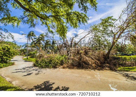 Hurricane Irma 