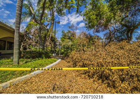 Hurricane Irma 