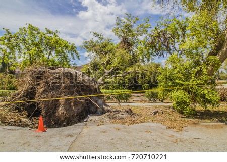 Hurricane Irma 