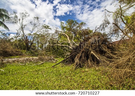 Hurricane Irma 