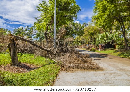Hurricane Irma 