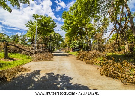 Hurricane Irma 