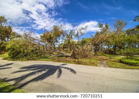 Hurricane Irma 