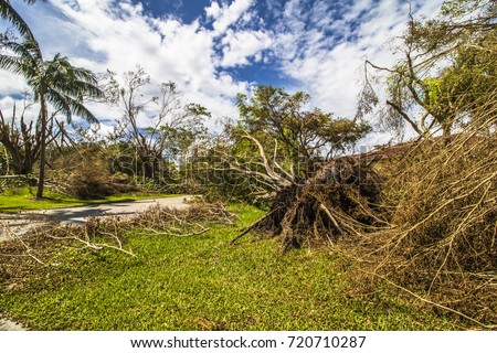 Hurricane Irma 