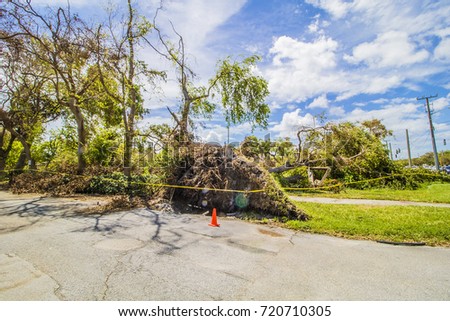 Hurricane Irma 