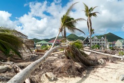 Hurricane Irma Aftermath Destruction To Some Of St.maarten/stmartin Beaches Blowing Down Trees And Uprooting Some On The Beach. 