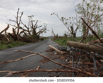 Hurricane Maria Debris