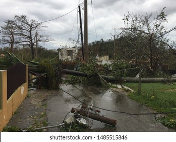 Hurricane Maria Destroyed Puerto Rico