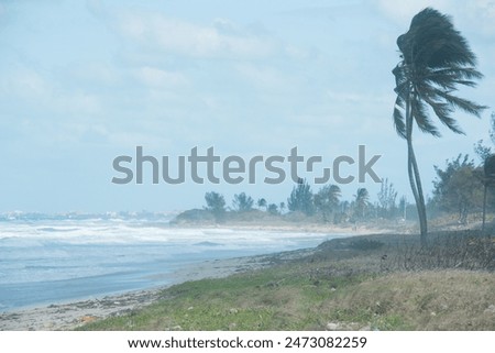 Similar – Image, Stock Photo Tropical harbor bay in evening. Golden hour in lagoon in Philippines, Palawan, El Nido. Sunset on beach. Tranquil scenic sundown above mountains islands on horizon