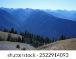 Hurricane Ridge, Olympic National Park 2024 Washington State, USA