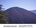 Hurricane Ridge, Olympic National Park, Washington State, USA
Sony a6400 with Polar Pro Light Leak lens.