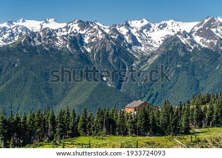 The Hurricane Ridge viewpoint of Olympic National park in Washington, USA. The background is snow mountain