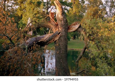 Hurricane Wind Damage In Cincinnati Neighborhood 2008