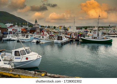 Husavik / Iceland - July 16 2015 : There Are Many Boats Around The Area Of ​​Husavik Port And Tourists Come Aboard To Watch Whale Watching Tours.