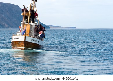 Husavik, Iceland - July, 2008: Whale Watching