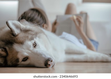 Husky dog laying on room floor with a woman lying in the background reading a book - Powered by Shutterstock