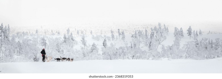 Husky dog sledding in Lapland, Finland, panoramic winter header - Powered by Shutterstock