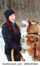 Husky Dog Stands On A Sleigh And Looks Into The Eyes Of A Young Mistress