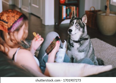 Husky Dog Is Watching Young Teenage Girl Sitting On A Couch At Home And Eating Potato Chips