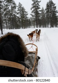 Husky dogs pulling a sled in the snow in Lapland.