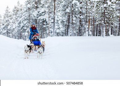 Husky Dogs Are Pulling Sledge With Family At Winter Forest In Lapland Finland