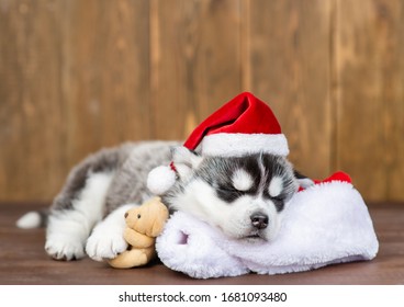 Husky puppy wearing a red santa`s hat hugs toy bear and sleeps on pillow  on wooden background