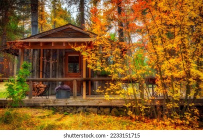 A hut in the autumn forest. Forest hut in autumn. Autumn forest hut. Hut in autumn forest