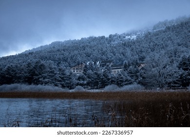 A hut can be seen in the forest  which stands out among the snow  covered trees  In this forest covered and the white cover the winter season  the partial view the cottage draws attention and i