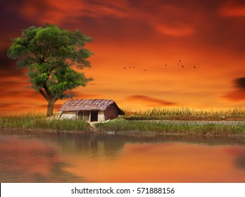 hut during sunset in a small village of Bangladesh