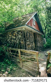 Hut and firewood. Old  hut and a stack of split firewood in the forest