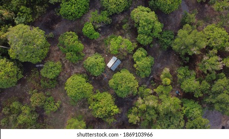 Hut In Forest At Kampung Padang