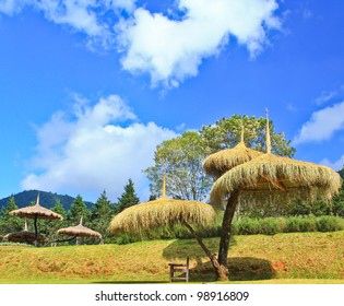 hut grass