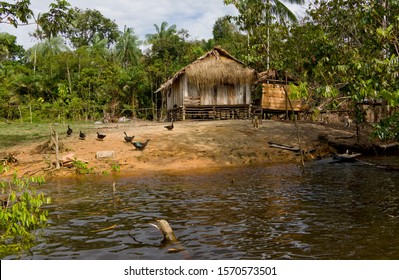 30 Jutai River Images, Stock Photos & Vectors | Shutterstock