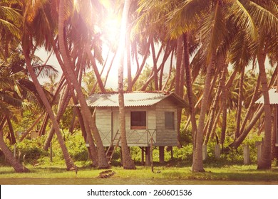 Hut In Jungle