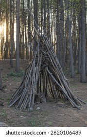 A hut made of maple twigs in a pine forest at sunset