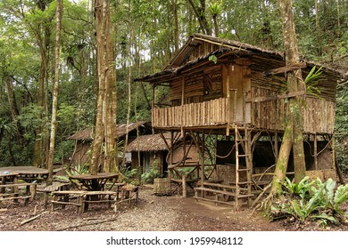 A Hut In The Middle Of Jungle.