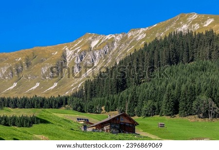 A hut in a mountain valley. Mountain cabin in mountain valley. Alpine mountains landscape. Mountain house in forest