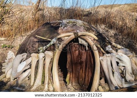 Hut of primitive people, built of bones and skin