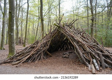 Hut in woodland made out of logs