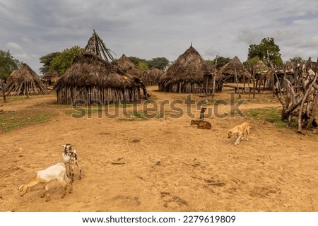 Huts of Korcho village inhabited by Karo tribe, Ethiopia