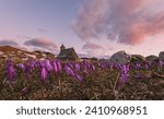 Herdsmen’s huts at Velika Planina
The end of spring is when the cowbells out on the Alpine pastures of the Velika Planina plateau start ringing, announcing the arrival of herdsmen. It’s a magical plat